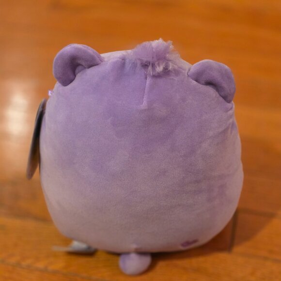 Care Bears Squishmallow - Share Bear, Cheer Bear, Grumpy Bear, and Funshine Bear - Picture 7 of 16